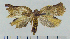  ( - ASTOR-11-0165)  @13 [ ] Unspecified (default): All Rights Reserved  Unspecified Unspecified