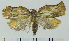  ( - ASTOR-11-0166)  @12 [ ] Unspecified (default): All Rights Reserved  Unspecified Unspecified