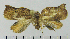 ( - ASTOR-11-0167)  @12 [ ] Unspecified (default): All Rights Reserved  Unspecified Unspecified