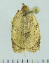  ( - ASTOR-11-0189)  @12 [ ] Unspecified (default): All Rights Reserved  Unspecified Unspecified