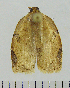  ( - ASTOR-11-0190)  @12 [ ] Unspecified (default): All Rights Reserved  Unspecified Unspecified