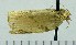  ( - ASTOR-11-0191)  @12 [ ] Unspecified (default): All Rights Reserved  Unspecified Unspecified