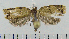  ( - ASTOR-11-0195)  @13 [ ] Unspecified (default): All Rights Reserved  Unspecified Unspecified