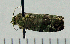  ( - ASTOR-11-0202)  @12 [ ] Unspecified (default): All Rights Reserved  Unspecified Unspecified