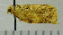  ( - ASTOR-11-0262)  @12 [ ] Unspecified (default): All Rights Reserved  Unspecified Unspecified