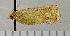  ( - ASTOR-11-0263)  @12 [ ] Unspecified (default): All Rights Reserved  Unspecified Unspecified