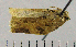  ( - ASTOR-11-0265)  @12 [ ] Unspecified (default): All Rights Reserved  Unspecified Unspecified