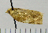  ( - ASTOR-11-0267)  @12 [ ] Unspecified (default): All Rights Reserved  Unspecified Unspecified