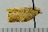  ( - ASTOR-11-0268)  @12 [ ] Unspecified (default): All Rights Reserved  Unspecified Unspecified