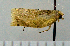  ( - ASTOR-11-0269)  @12 [ ] Unspecified (default): All Rights Reserved  Unspecified Unspecified