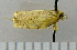  ( - ASTOR-11-0271)  @12 [ ] Unspecified (default): All Rights Reserved  Unspecified Unspecified