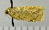  ( - ASTOR-11-0272)  @12 [ ] Unspecified (default): All Rights Reserved  Unspecified Unspecified