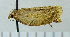 ( - ASTOR-11-0273)  @11 [ ] Unspecified (default): All Rights Reserved  Unspecified Unspecified