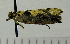  ( - ASTOR-11-0297)  @12 [ ] Unspecified (default): All Rights Reserved  Unspecified Unspecified