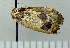  ( - ASTOR-11-0305)  @13 [ ] Unspecified (default): All Rights Reserved  Unspecified Unspecified