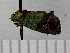  ( - ASTOR-11-0369)  @12 [ ] Unspecified (default): All Rights Reserved  Unspecified Unspecified