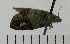  ( - ASTOR-11-0370)  @12 [ ] Unspecified (default): All Rights Reserved  Unspecified Unspecified