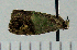  ( - ASTOR-11-0371)  @12 [ ] Unspecified (default): All Rights Reserved  Unspecified Unspecified