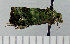  ( - ASTOR-11-0377)  @12 [ ] Unspecified (default): All Rights Reserved  Unspecified Unspecified