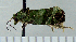 ( - ASTOR-11-0378)  @12 [ ] Unspecified (default): All Rights Reserved  Unspecified Unspecified