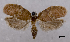  ( - ASTOR-11-0392)  @11 [ ] Unspecified (default): All Rights Reserved  Unspecified Unspecified