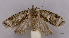  ( - ASTOR-11-0400)  @11 [ ] Unspecified (default): All Rights Reserved  Unspecified Unspecified