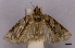  ( - ASTOR-11-0401)  @12 [ ] Unspecified (default): All Rights Reserved  Unspecified Unspecified