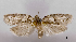  ( - ASTOR-11-0403)  @11 [ ] Unspecified (default): All Rights Reserved  Unspecified Unspecified