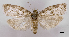  ( - ASTOR-11-0404)  @11 [ ] Unspecified (default): All Rights Reserved  Unspecified Unspecified