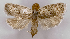  ( - ASTOR-11-0405)  @12 [ ] Unspecified (default): All Rights Reserved  Unspecified Unspecified