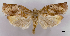  ( - ASTOR-11-0418)  @13 [ ] Unspecified (default): All Rights Reserved  Unspecified Unspecified