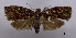  ( - ASTOR-11-0441)  @11 [ ] Unspecified (default): All Rights Reserved  Unspecified Unspecified