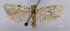  ( - ASTOR-11-0453)  @11 [ ] Unspecified (default): All Rights Reserved  Unspecified Unspecified