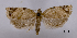  ( - ASTOR-11-0456)  @12 [ ] Unspecified (default): All Rights Reserved  Unspecified Unspecified