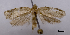  ( - ASTOR-11-0459)  @12 [ ] Unspecified (default): All Rights Reserved  Unspecified Unspecified