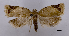  ( - ASTOR-11-0460)  @12 [ ] Unspecified (default): All Rights Reserved  Unspecified Unspecified