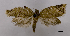  ( - ASTOR-11-0461)  @12 [ ] Unspecified (default): All Rights Reserved  Unspecified Unspecified