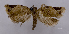 ( - ASTOR-11-0463)  @12 [ ] Unspecified (default): All Rights Reserved  Unspecified Unspecified