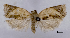  ( - ASTOR-11-0464)  @12 [ ] Unspecified (default): All Rights Reserved  Unspecified Unspecified