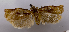  ( - ASTOR-11-0468)  @11 [ ] Unspecified (default): All Rights Reserved  Unspecified Unspecified