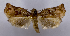  ( - ASTOR-11-0469)  @12 [ ] Unspecified (default): All Rights Reserved  Unspecified Unspecified