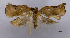  ( - ASTOR-11-0470)  @12 [ ] Unspecified (default): All Rights Reserved  Unspecified Unspecified
