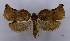  ( - ASTOR-11-0471)  @12 [ ] Unspecified (default): All Rights Reserved  Unspecified Unspecified