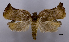  ( - ASTOR-11-0473)  @13 [ ] Unspecified (default): All Rights Reserved  Unspecified Unspecified