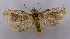  ( - ASTOR-11-0475)  @12 [ ] Unspecified (default): All Rights Reserved  Unspecified Unspecified