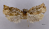 ( - ASTOR-11-0476)  @12 [ ] Unspecified (default): All Rights Reserved  Unspecified Unspecified