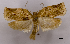  ( - ASTOR-11-0478)  @12 [ ] Unspecified (default): All Rights Reserved  Unspecified Unspecified