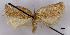  ( - ASTOR-11-0485)  @12 [ ] Unspecified (default): All Rights Reserved  Unspecified Unspecified