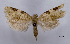  ( - ASTOR-11-0486)  @13 [ ] Unspecified (default): All Rights Reserved  Unspecified Unspecified