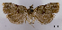  ( - ASTOR-11-0520)  @12 [ ] Unspecified (default): All Rights Reserved  Unspecified Unspecified